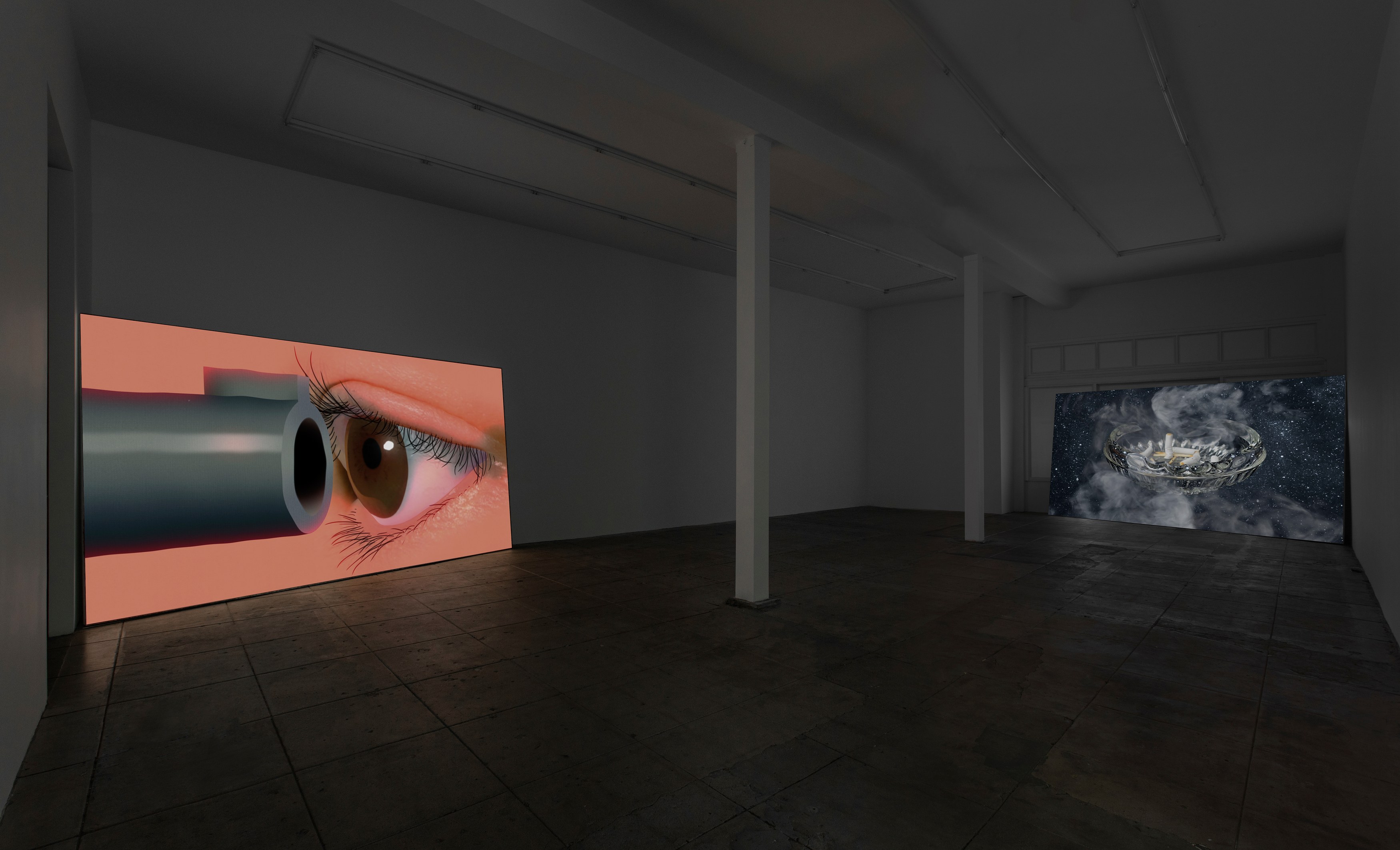 Agnieszka Polska, Little Planet at Overduin and Kite, photo 12