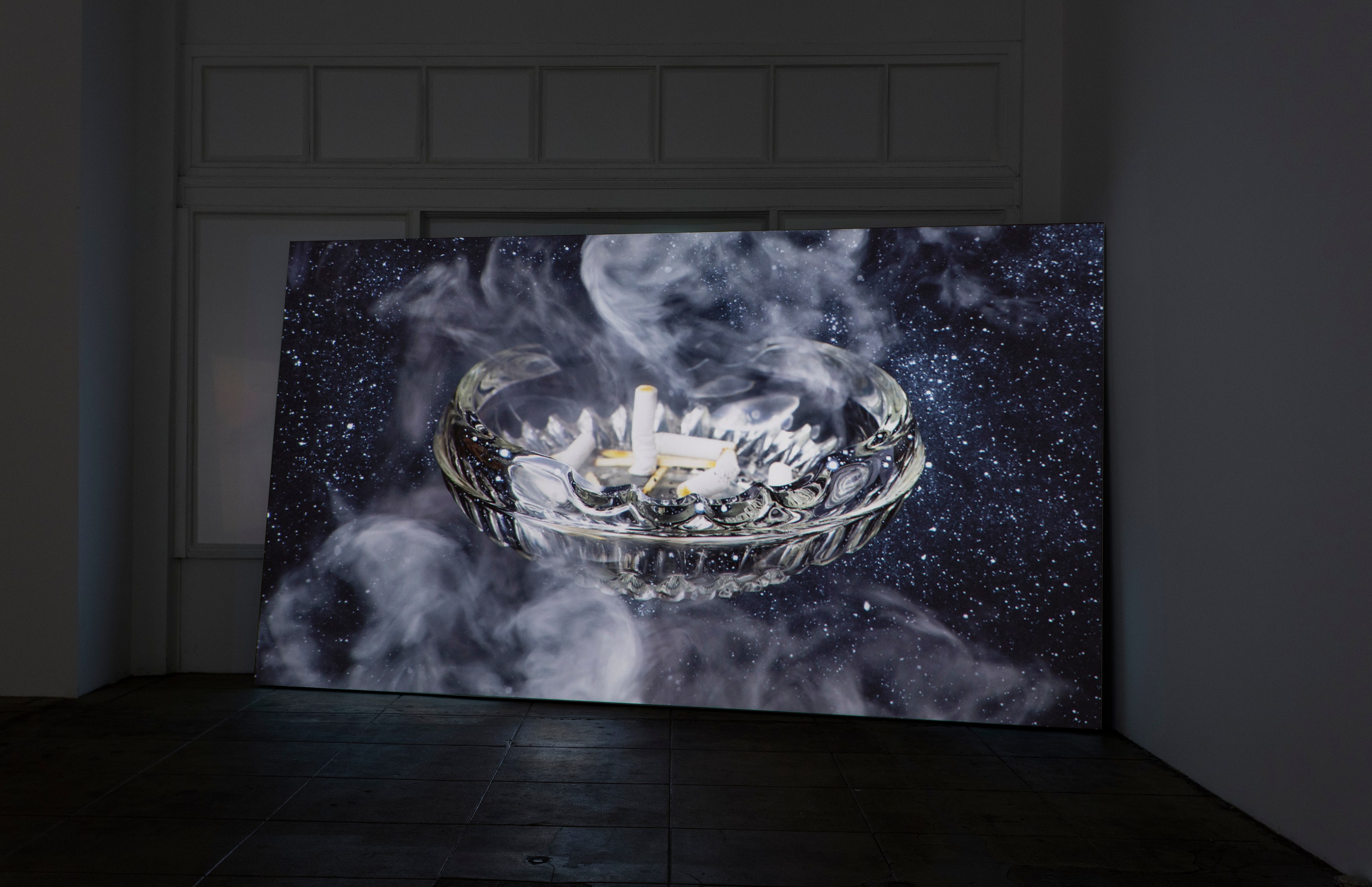 Agnieszka Polska, Little Planet at Overduin and Kite, photo 14