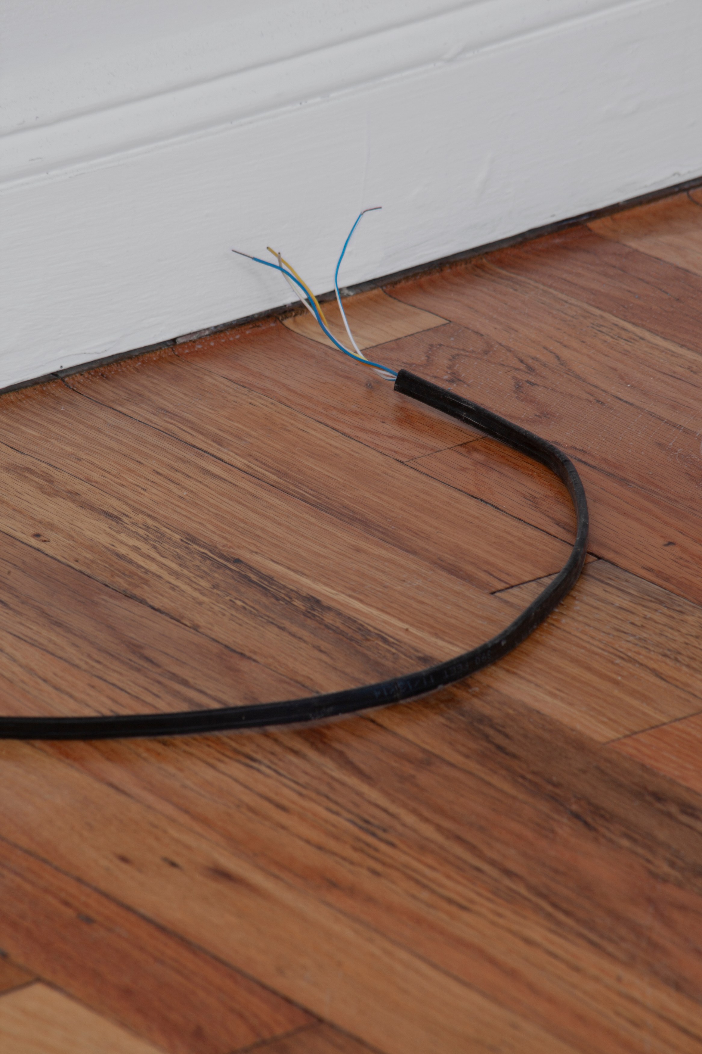 Daniel T Gaitor-Lomack, Domesticity Forgotten: The Art of Assemblage at Alyssa Davis Gallery, photo 46