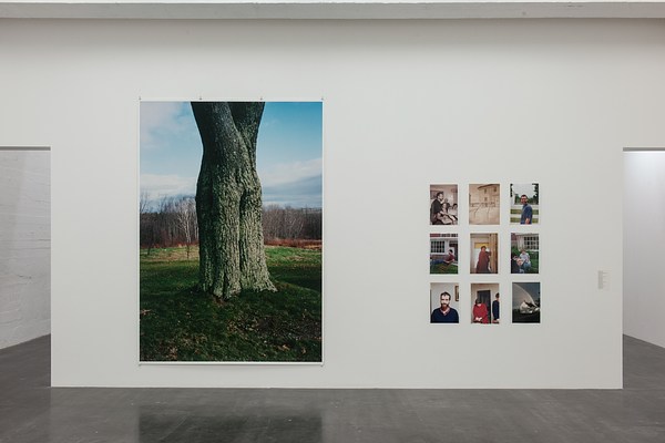 Wolfgang Tillmans | Contemporary Art Library