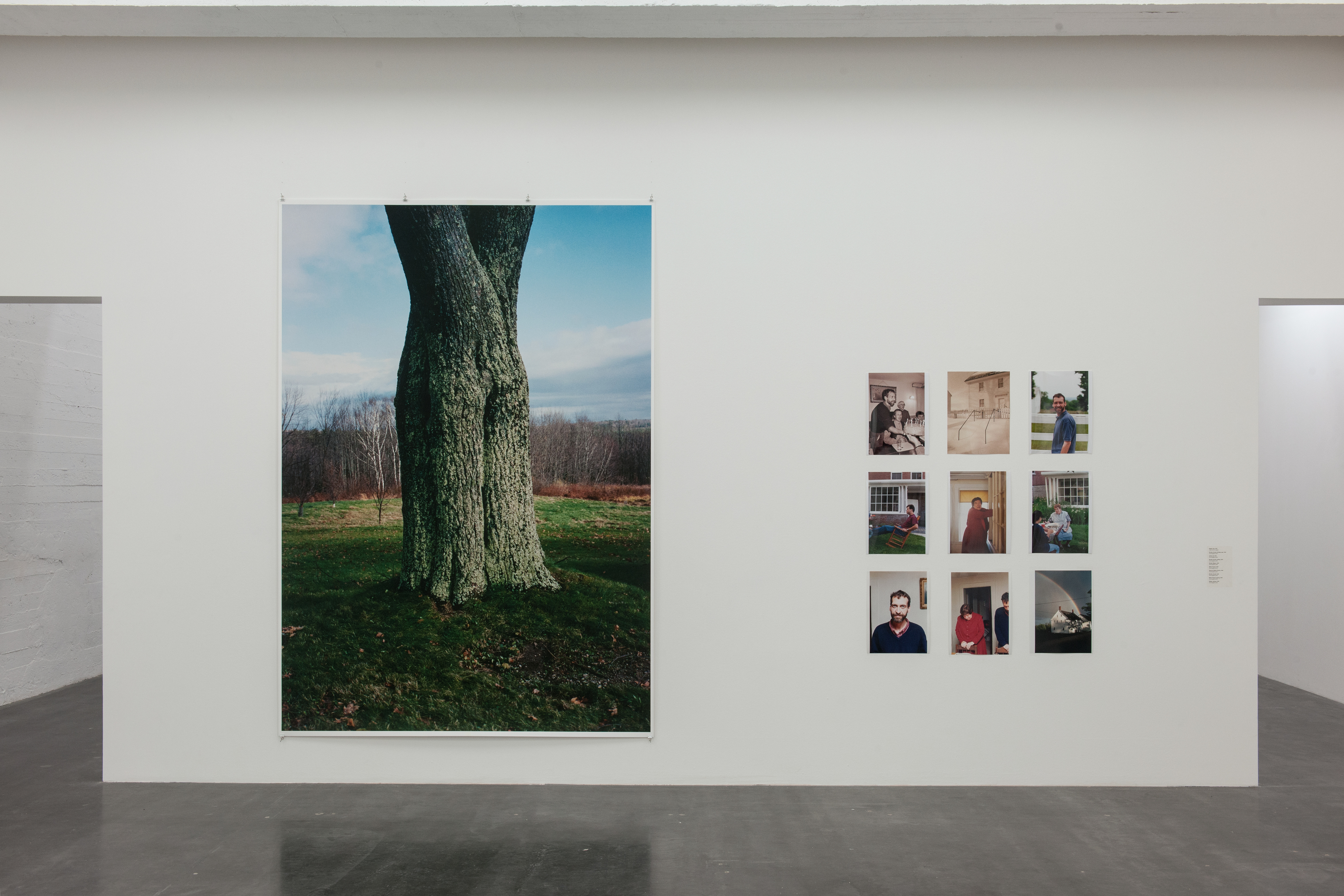 Wolfgang Tillmans at WIELS, Brussels | Contemporary Art Library