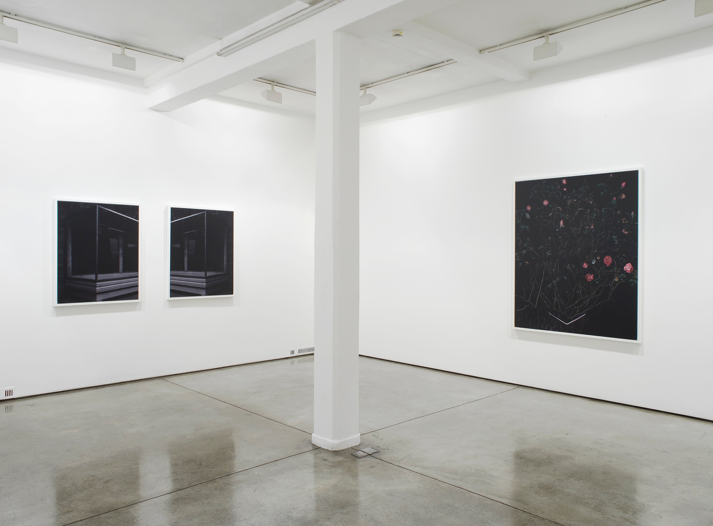 Sarah Jones, Untitled at Studio M, photo 2