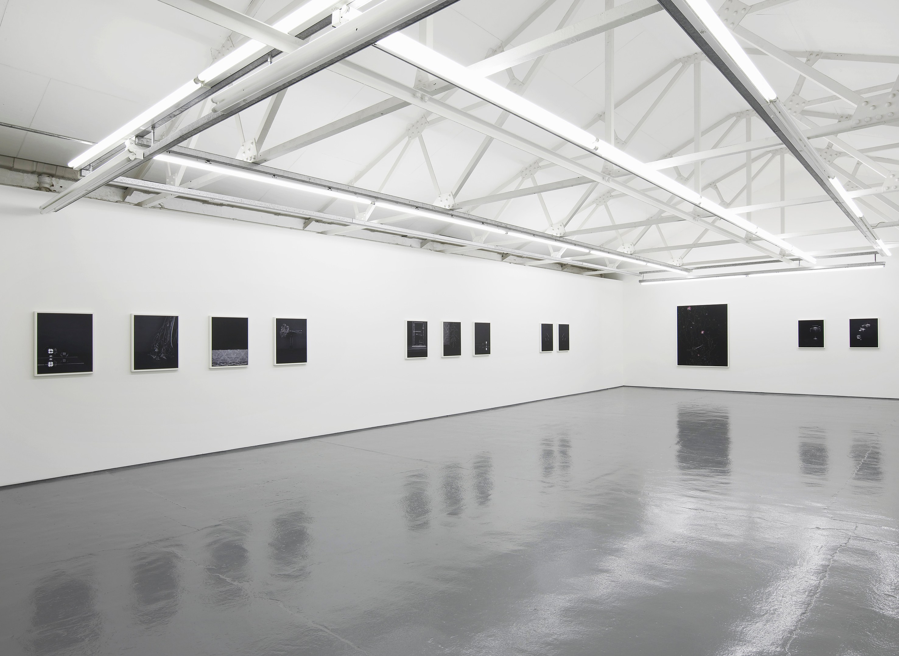 Sarah Jones, Untitled at Studio M, photo 3