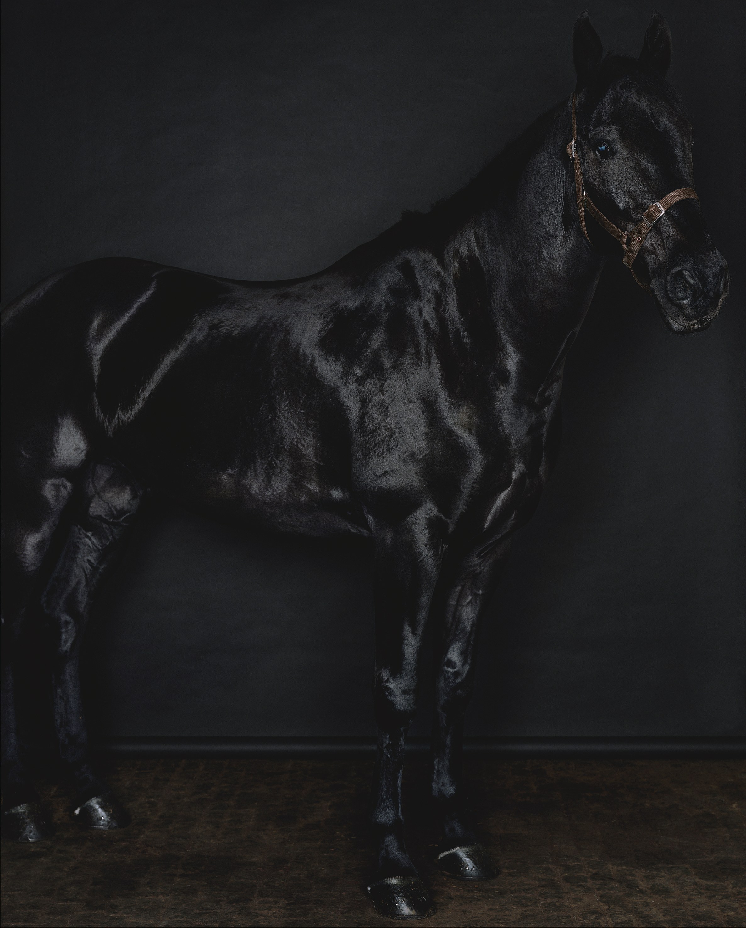 Sarah Jones, Untitled at Studio M, photo 7