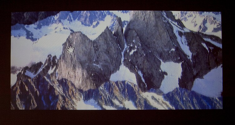 Image 16 of 43