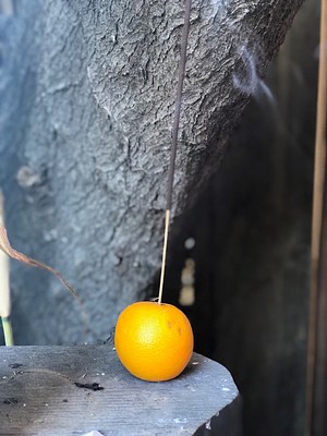 Image 1 of 30