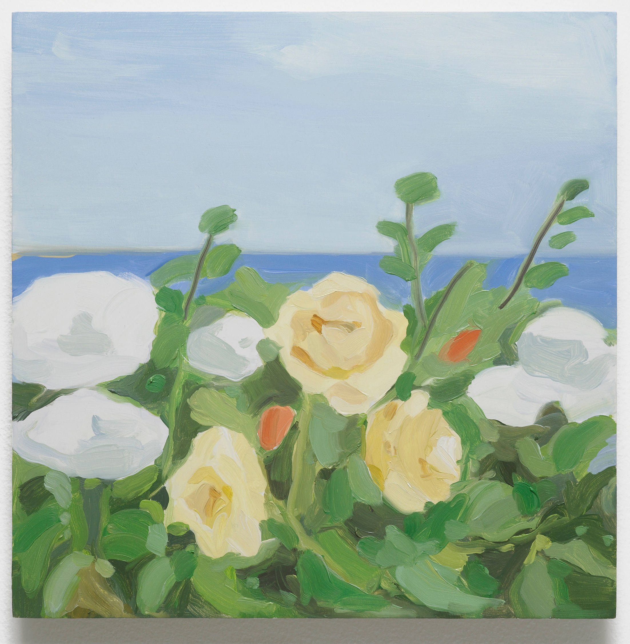 Maureen Gallace, Untitled at Studio M, photo 4