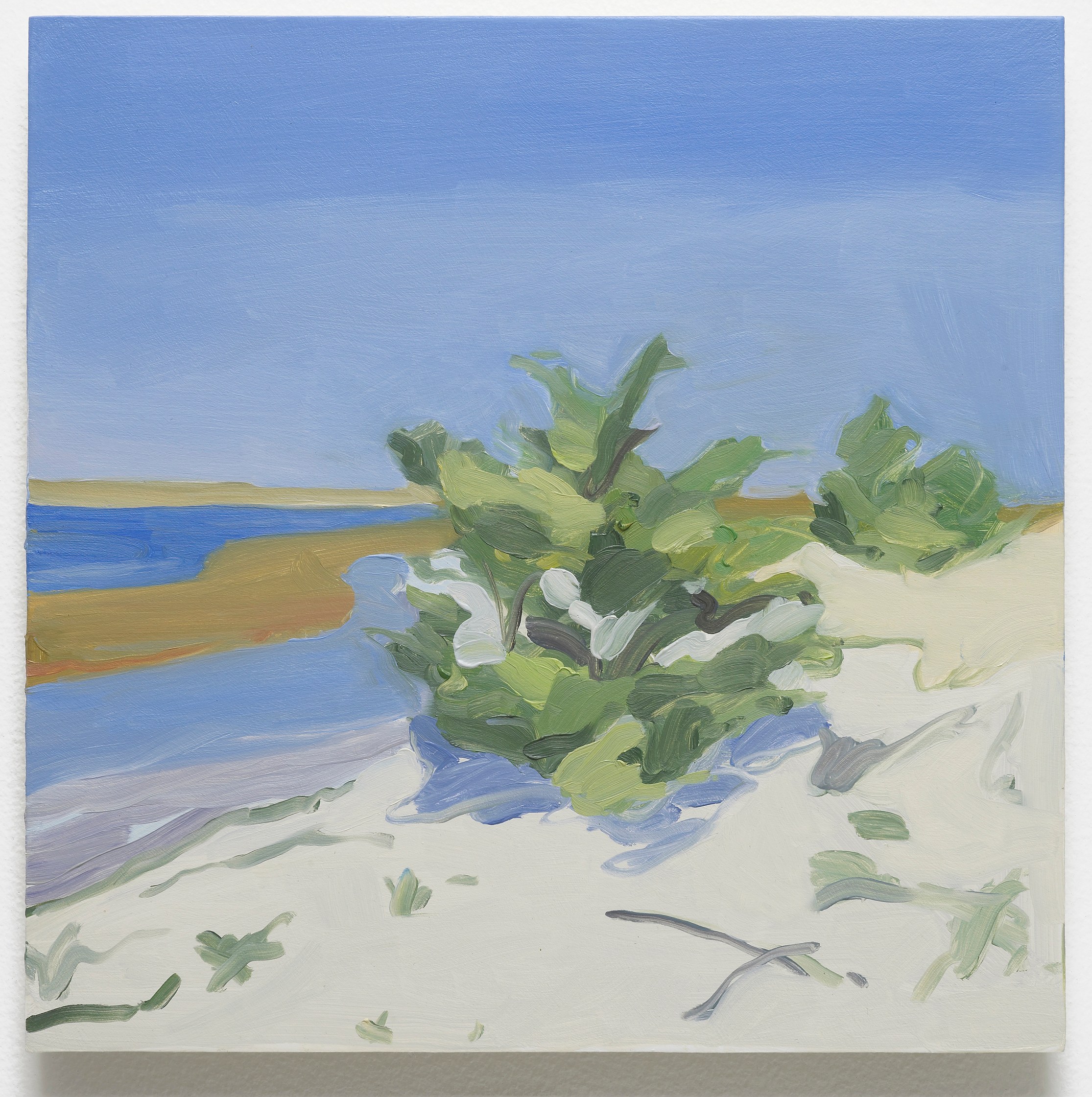 Maureen Gallace, Untitled at Studio M, photo 3