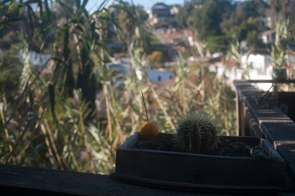 Image 30 of 30