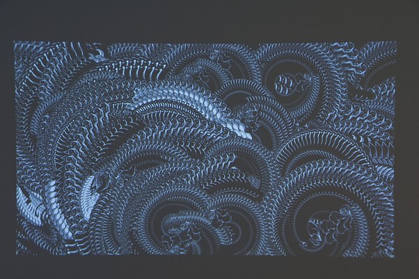 Image 77 of 117