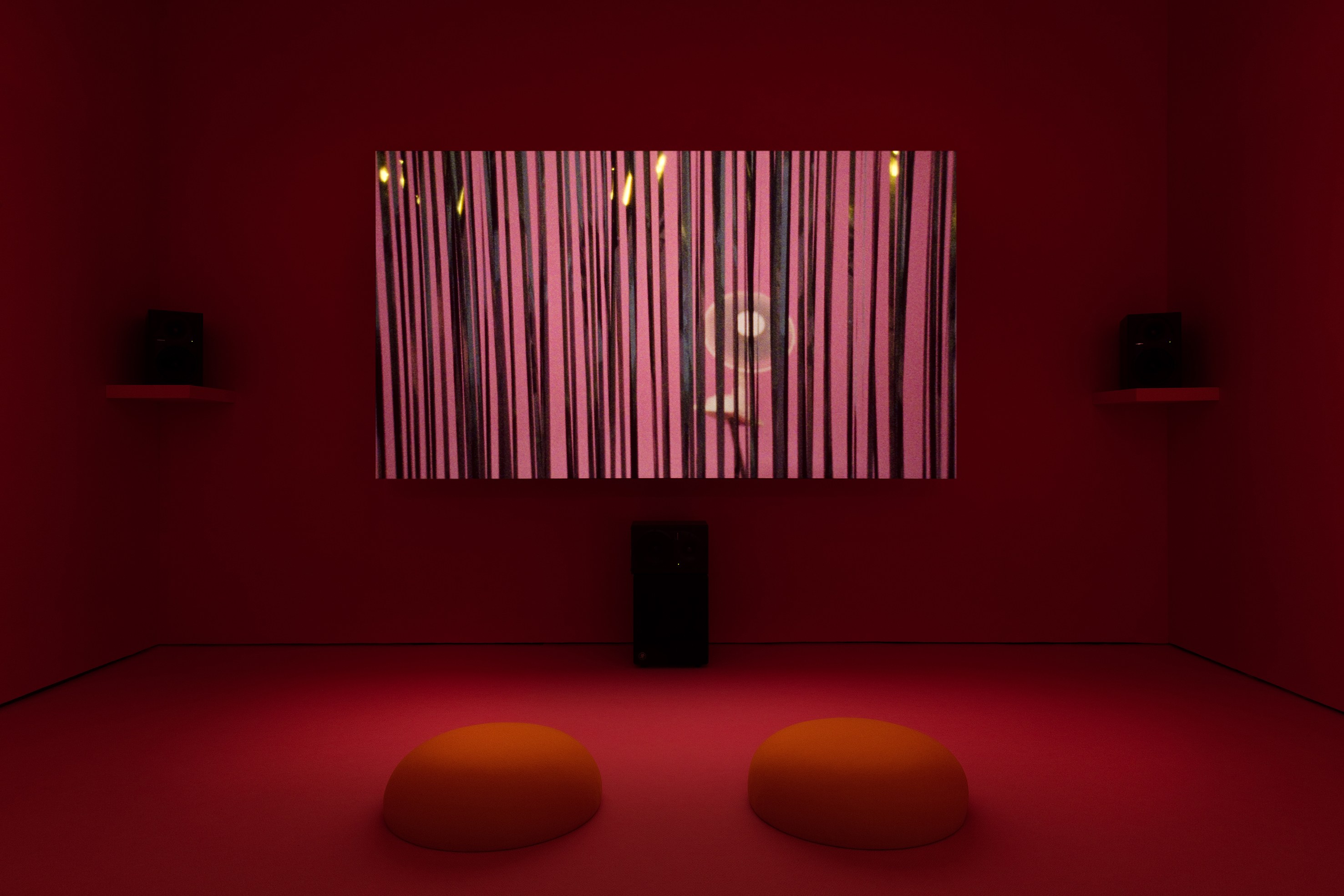 Anne Hardy, Untitled at Studio M, photo 4