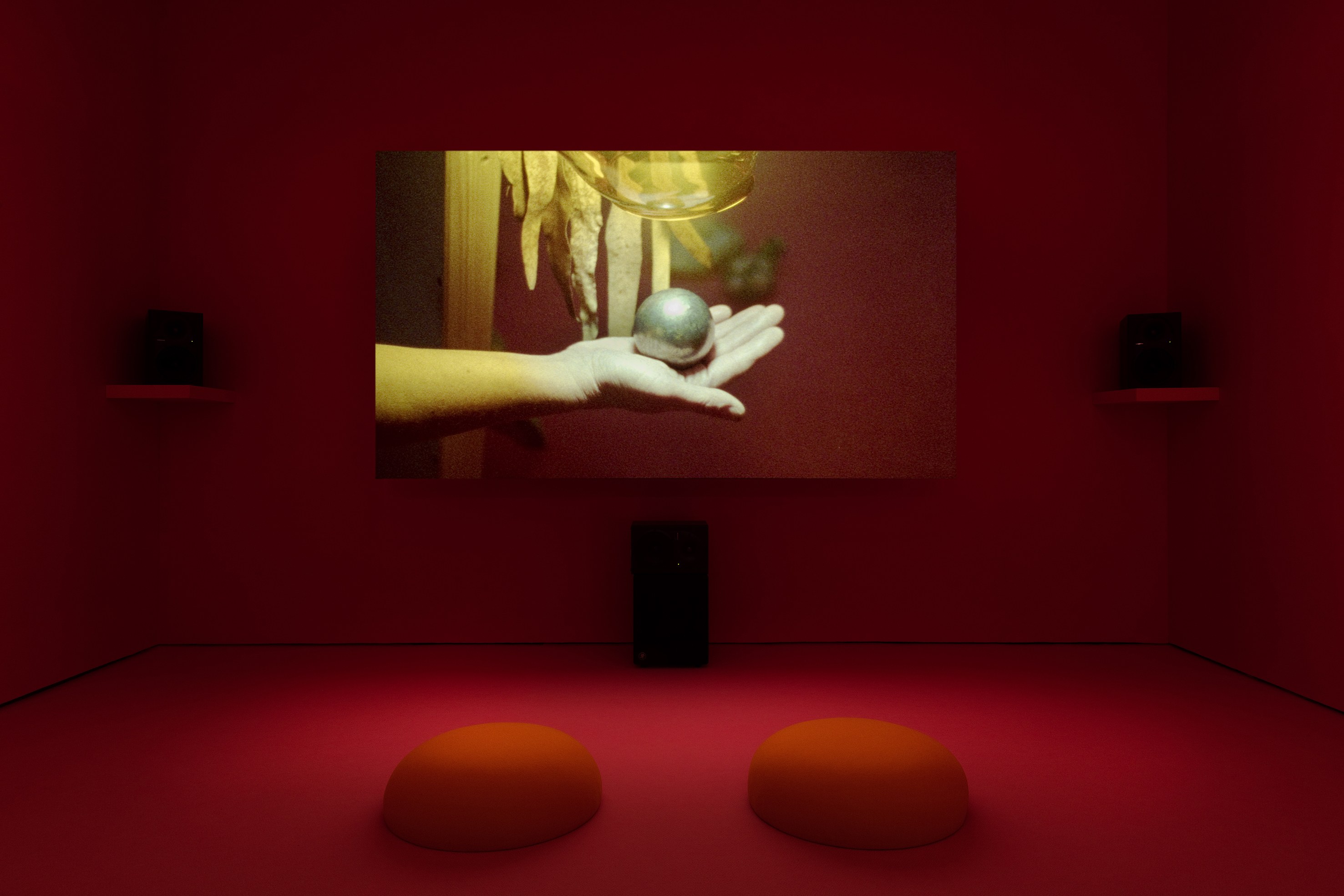 Anne Hardy, Untitled at Studio M, photo 5