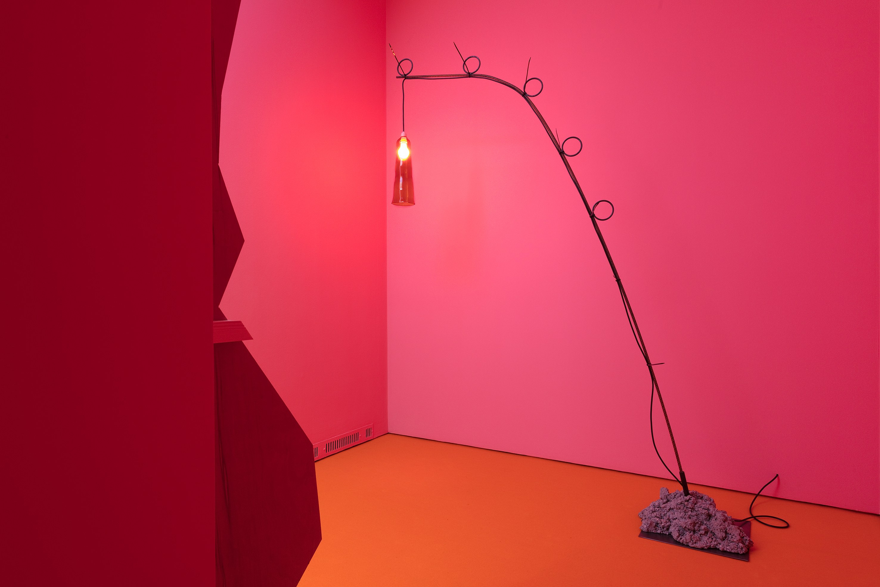 Anne Hardy, Untitled at Studio M, photo 6