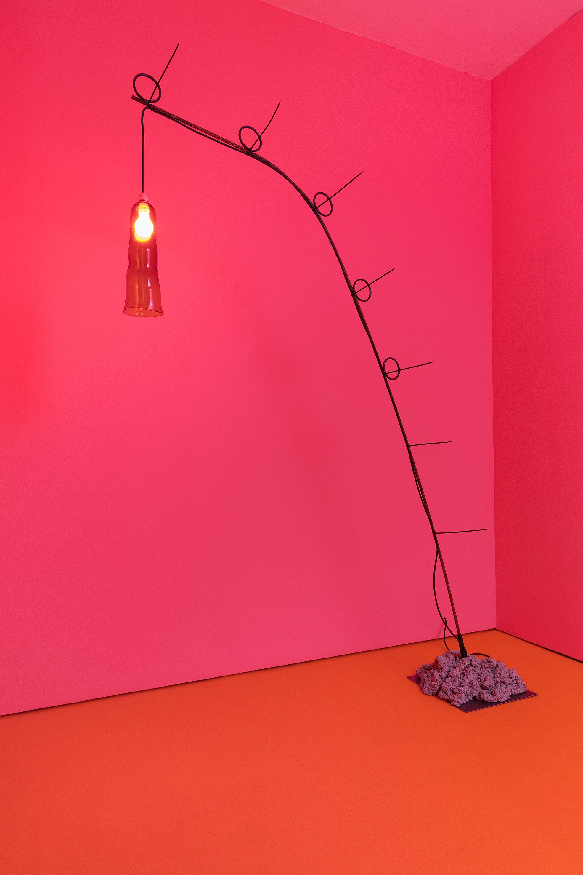 Anne Hardy, Untitled at Studio M, photo 7