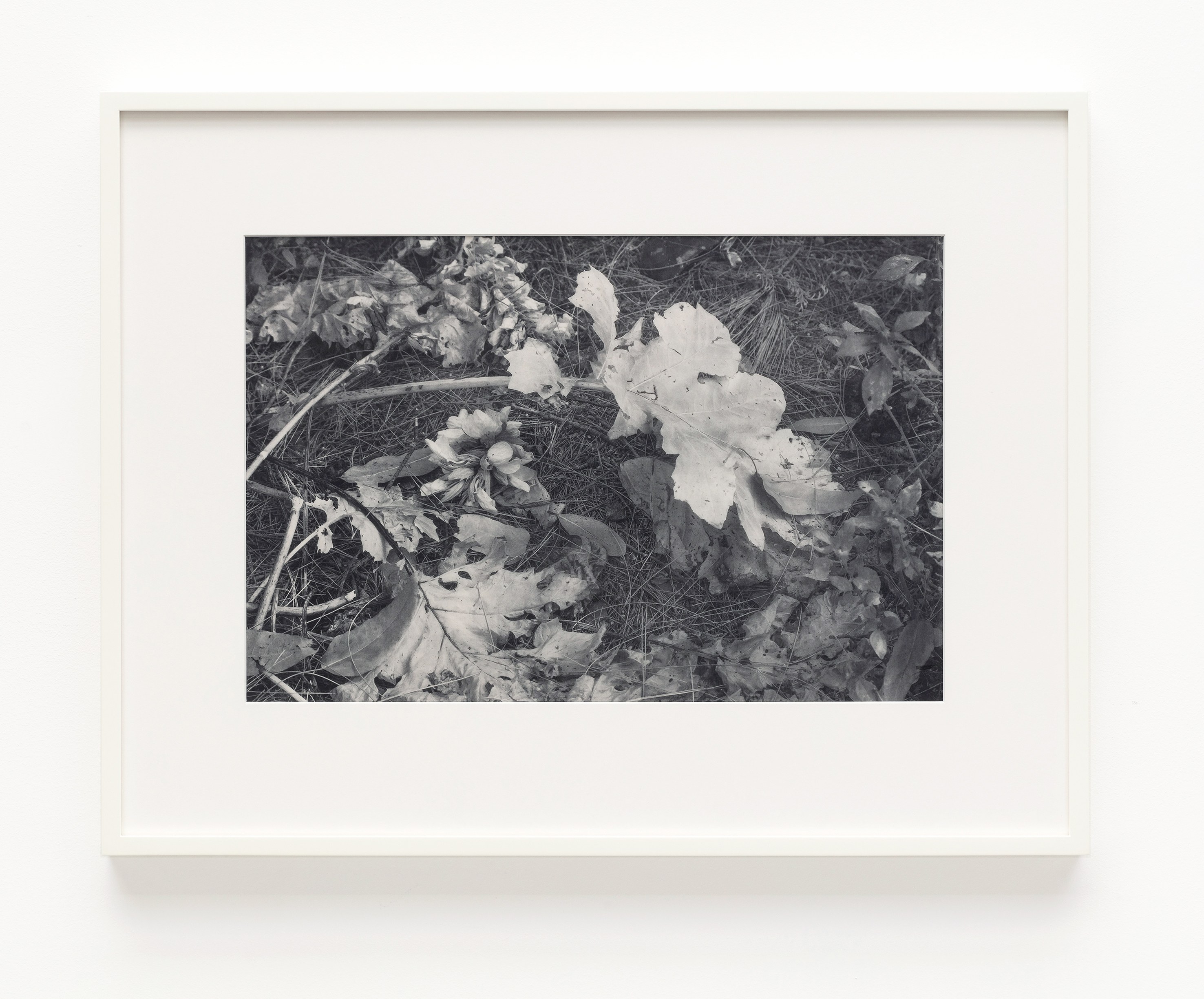 James Welling, Planograph at Studio M, photo 4
