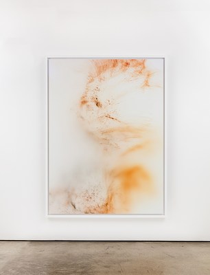 Image 4 of 42