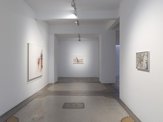 Image 15 of 22