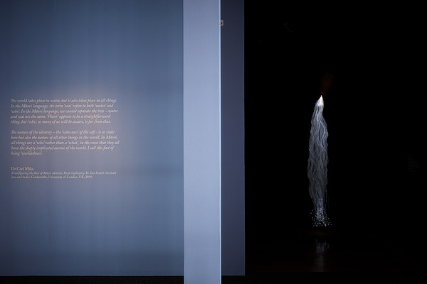 Image 4 of 20
