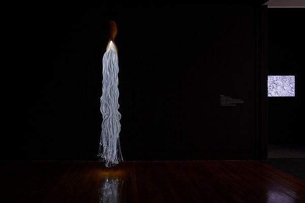 Image 6 of 20