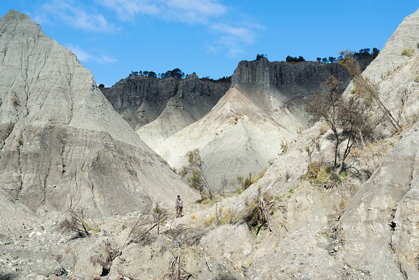 Image 16 of 20