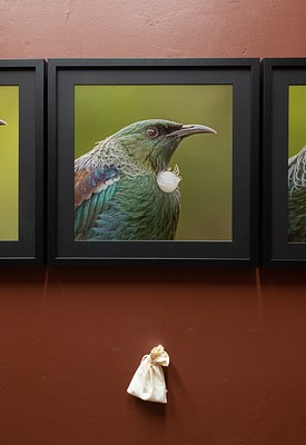 Image 9 of 26