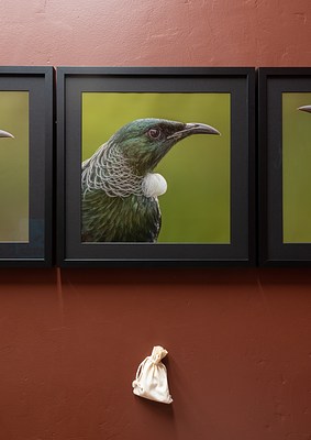 Image 10 of 26