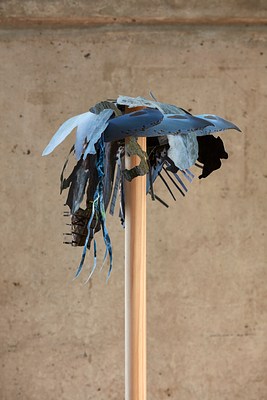 Image 4 of 5