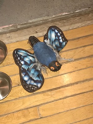 Image 24 of 85