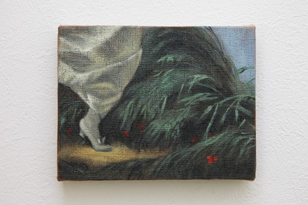 Image 1 of 19