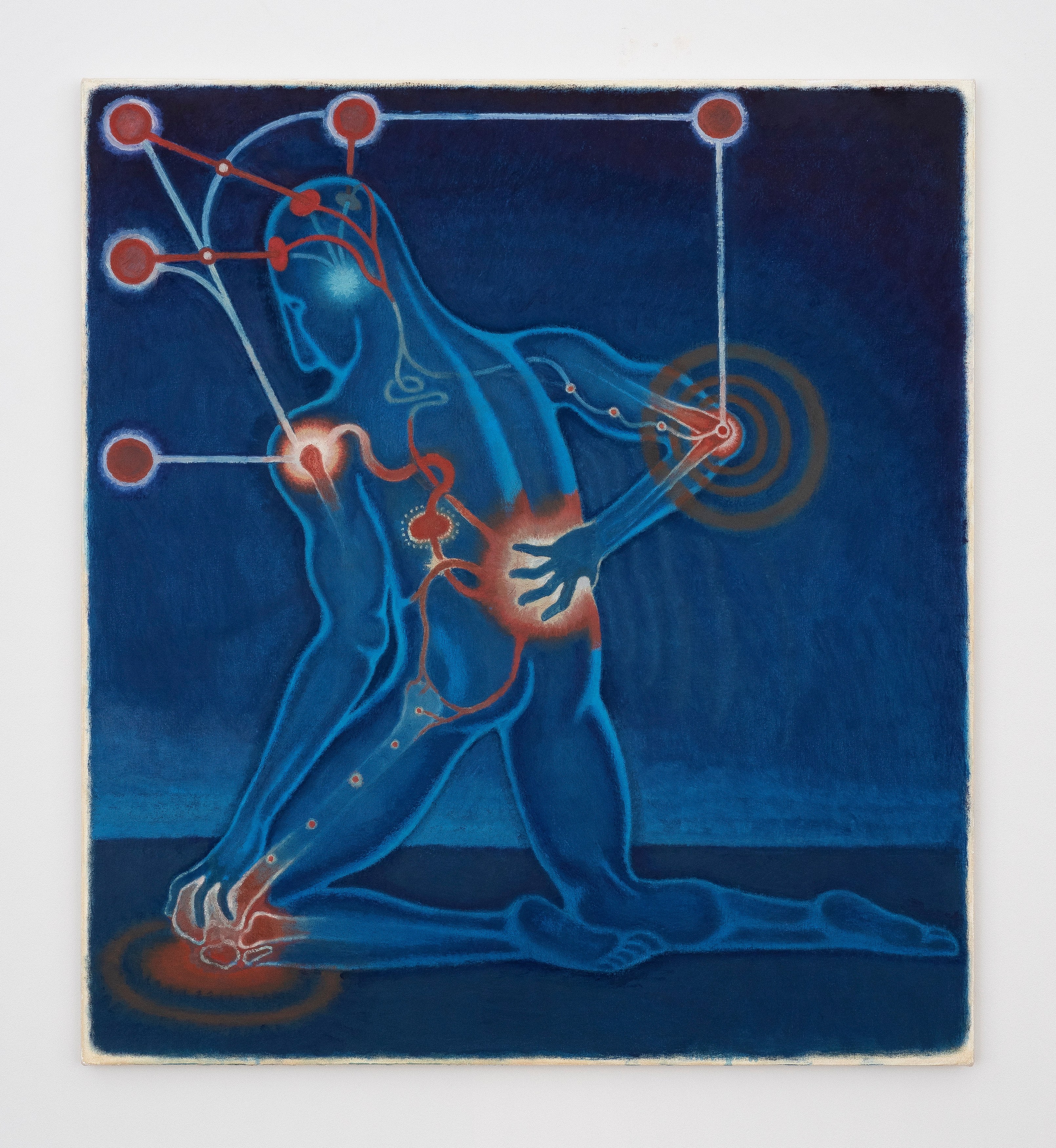 Clayton Schiff, Nervous System at Harkawik, photo 27