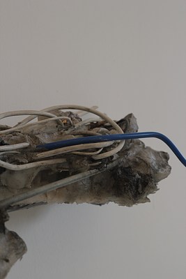 Image 8 of 27