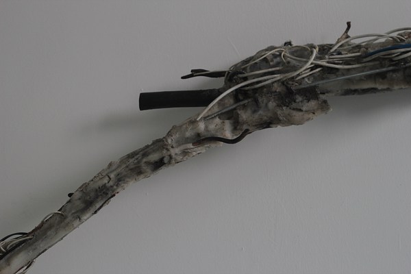 Image 11 of 27