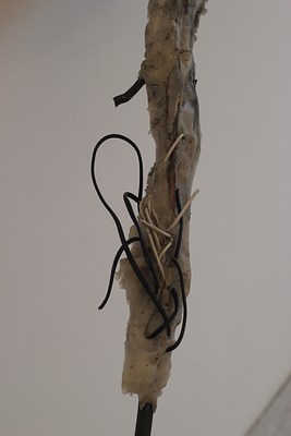 Image 10 of 27