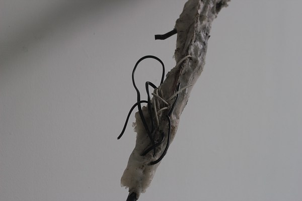 Image 13 of 27