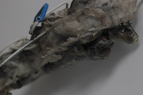 Image 15 of 27