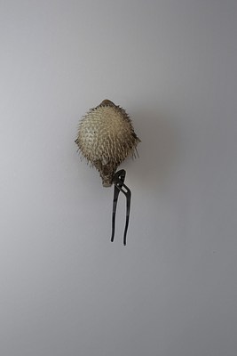 Image 19 of 27