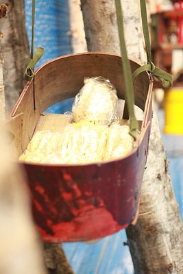 Image 18 of 23