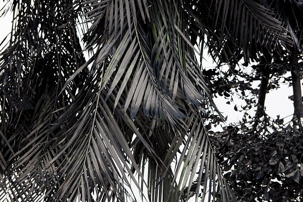 Image 6 of 10