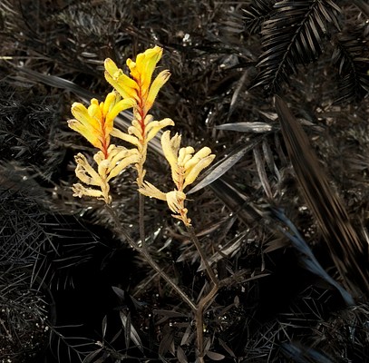 Image 7 of 10