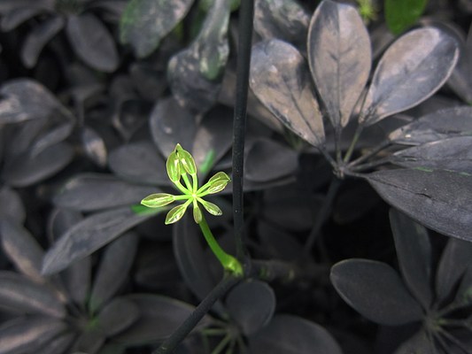 Image 8 of 10