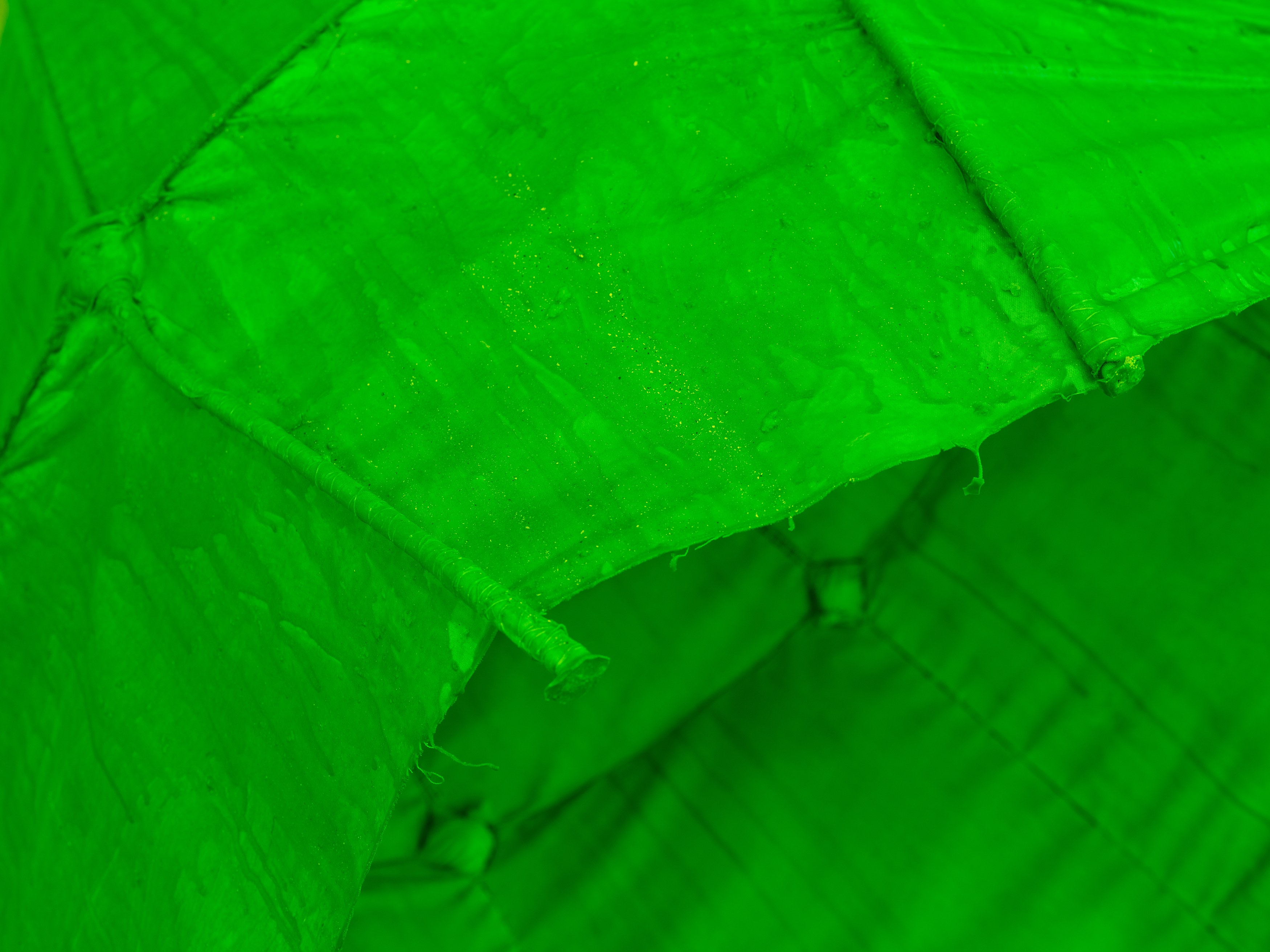 Sandra Mujinga, Spectral Keepers at The Approach, photo 32