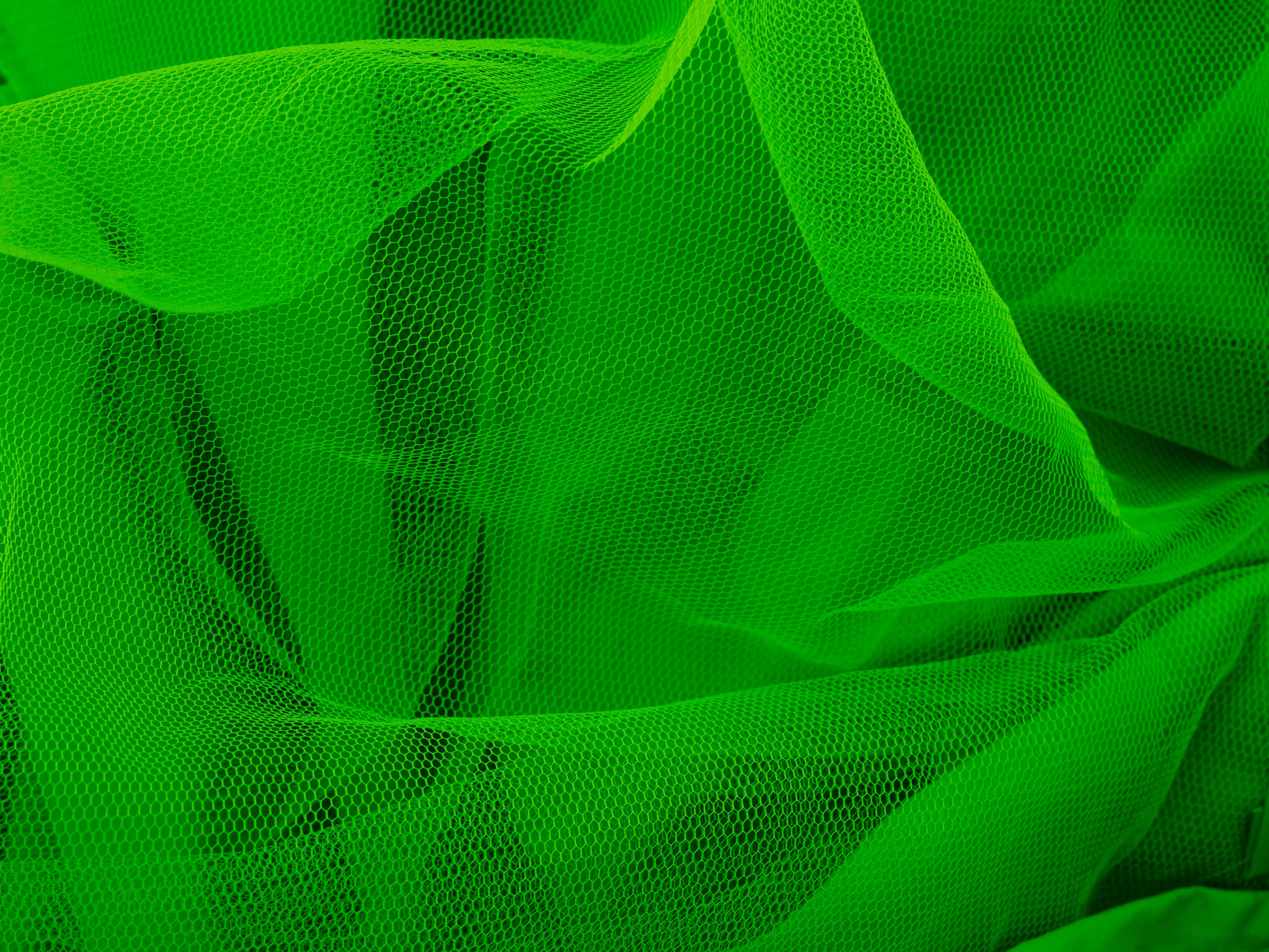 Sandra Mujinga, Spectral Keepers at The Approach, photo 37