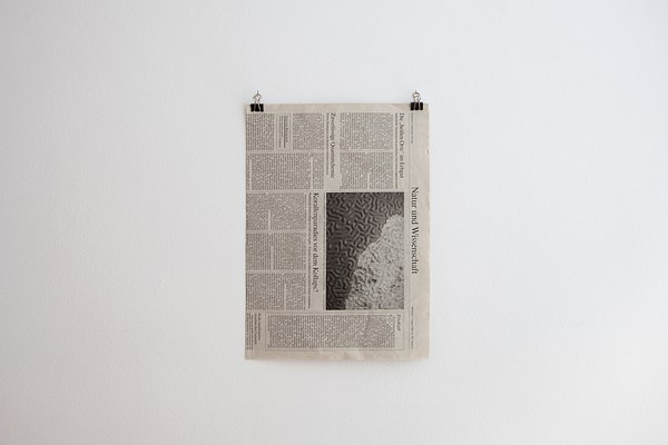 Image 15 of 15
