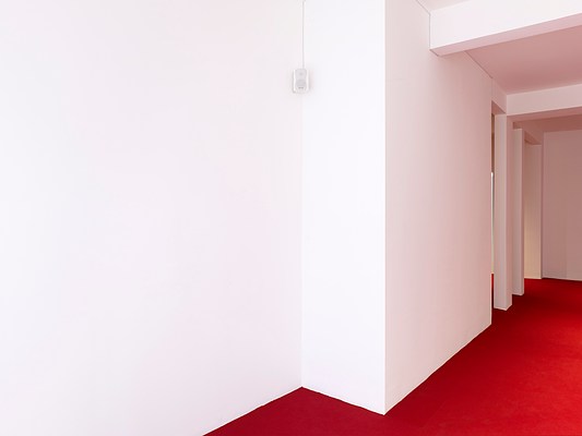 Image 1 of 30