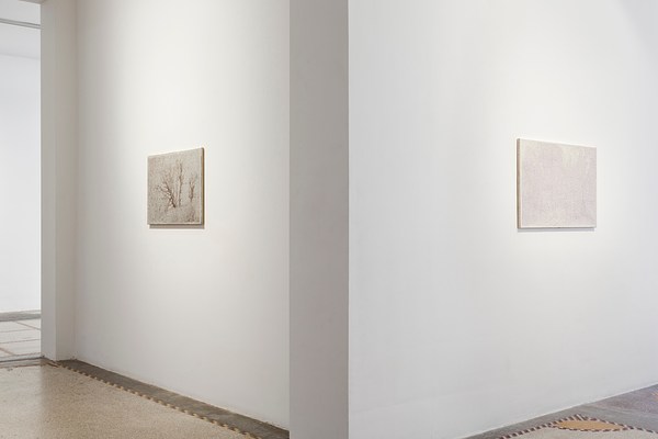 Image 21 of 28