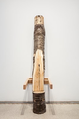 Image 18 of 30