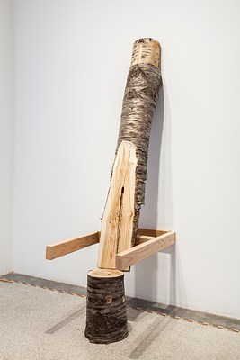 Image 19 of 30