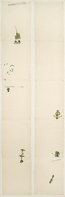 Image 3 of 5