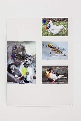 Image 1 of 26