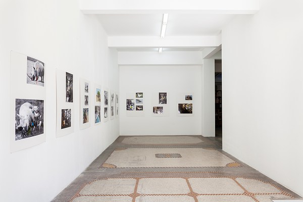 Image 4 of 26